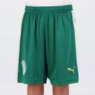 Calção Puma Palmeiras II 2024 Juvenil