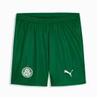 Calção Puma Palmeiras II 2026