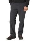 Calças masculinas THE NORTH FACE Paramount Active Asphalt Grey 30S