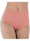 Calcinha Clássica Demillus 057115 Bali Sem Costura Algodão T. P/XG