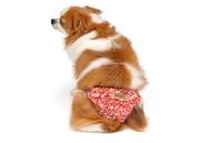 Calcinha Higiênica com Saia para Cachorro e Gato Pet Calcinha Higiênica com Saia para Cachorro e Gato Pet