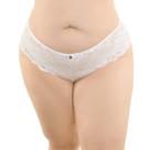 Calcinha Plus Size Fio Confort Renda e Tule Jackie . Calcinha Plus Size Fio Confort Renda e Tule Jackie .