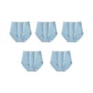 Calcinhas De Algodão Femininas plus Size, 5 Peças, Sem Costura, Macias, Respiráveis, Cuecas Sólidas,