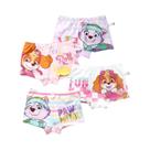 Calcinhas De Algodão Para Meninas Paw Patrol Skye Everest 4 Peças, Roupa Íntima Infantil, Calcinhas