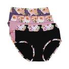 Calcinhas Florais plus Size 3 Peças/Lote Lingerie Sexy Feminina Calcinhas Estampadas 4XL-13XL Calcinhas Florais plus Size 3 Peças/Lote Lingerie Sexy Feminina Calcinhas Estampadas 4XL-13XL