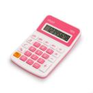 Calculadora Colorida Pequena 8 Dígitos Escolar Escritório