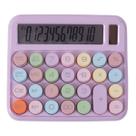 Calculadora Eletrônica Kawaii 12 Dígitos Colorida