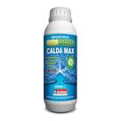 Calda Bordalesa Max Concentrado Insetimax - 1 Litro