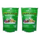 Calda Bordaleza Quimiagri 900g 2 Un Rende 900 Litros