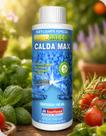 Calda Max Fortalecedor de Plantas Líquido 100ml Insetimax