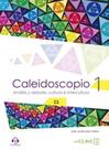 Caleidoscopio 1 -analisis y debate, cultura e intercultura Caleidoscopio 1 -analisis y debate, cultura e intercultura