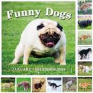 Calendário Gag Gifts Coboll 2025 Pooping Dogs White Elephant