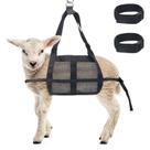 Calf Sling Boyistar para pesagem de animais com capacidade de 136 kg