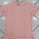 Cam. Basica masc diversas-TT M