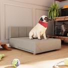 Cama Box Pet Dog Retriever Cachorro Porte Grande 80 cm Cor Nude - Comprar Moveis em Casa