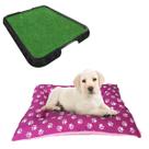 Cama Cachorro Cães Pequeno Rosa + Sanitário Canino Xixi Dog