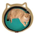 Cama de Gato Arranhador Caminha Cestinho Ninho Pet Felino Rasqueavel Divertida Confortavel Estimaçao Domestico