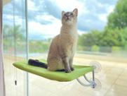 Cama De Janela Para Gatos Pets Caminha Suspensa Com Ventosa Abrigo Rede Toca Casa Redinha Casinha Brinquedo Petlon