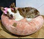 Cama Grande para Cachorros Nuvem Pelúcia GG 80x80