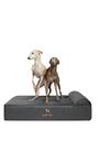 Cama grande para cães NOAH & PAW 89x64x22 cm Refrigeração ortopédica