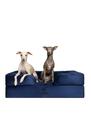 Cama grande para cães NOAH & PAW 89x64x28 cm Gel ortopédico