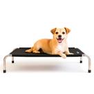 Cama Ortopédica Suspensa Cachorro Gato 60x40cm P Preto Alumínio