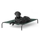 Cama para animais de estimação Coolaroo Original Elevated Extra Large Green Cama para animais de estimação Coolaroo Original Elevated Extra Large Green