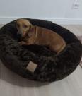 Cama para Cachorro Enorme Nuvem Pelucia XG 100x100