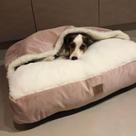Cama para Cachorros e Gatos Cave com coberta G 70x70