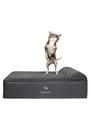 Cama para cães NOAH & PAW 71x58x19 cm Ortopédica Impermeável