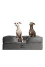 Cama para cães NOAH & PAW Orthopaedic 89x64x28 cm Gel refrescante