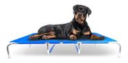 Cama Para Cão Suspensa De Alumínio Grande Tamanho Xl Azul