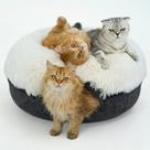 Cama para Gato Cattasaurus Peekaboo Grande, Acolchoada, em Formato de Donut com Túnel Cama para Gato Cattasaurus Peekaboo Grande, Acolchoada, em Formato de Donut com Túnel