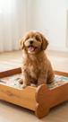 Cama Pet formato ossinhos em madeira maciça lavável confortável resistente grande pequena media para cachorro
