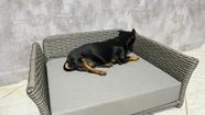 Cama pet retangular modelo cãozinho mais famoso do Brasil estopinha
