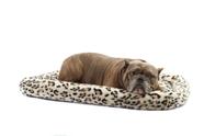 Cama Super Fofa para Cachorro e Gato Pet