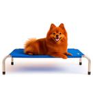Cama Suspensa Para Cachorro Gato Pet Pequeno 60x40x10 Azul