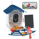 Câmera HD Smart Bird Feeder UHAOO 2K - Reconhecimento de Pássaros com IA