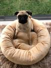 Caminha Para Cães e Gatos Antiderrapante e Impermeável em Tecido Velboa Super Macia - Bege