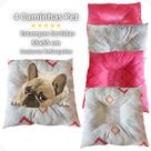 Caminha para Cães