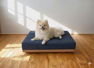 Caminha Pet Com Base Stoffa Para Cães e Gatos Azul