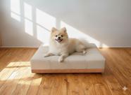 Caminha Pet Com Base Stoffa Para Cães e Gatos Bege