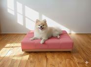 Caminha Pet Com Base Stoffa Para Cães e Gatos Rose