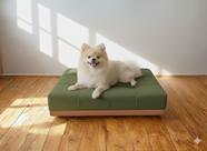 Caminha Pet Com Base Stoffa Para Cães e Gatos Verde