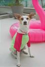 Camisa de proteção UV - Rosa e Verde