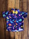Camisa Dinossauro Menino Infantil Social Temática