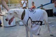 Camisa do Remo Cachorro