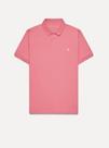 Camisa gola Polo P,M, G.