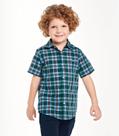 Camisa Infantil Masc Tricoline Xadrez Trick Nick Verde