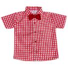 Camisa Infantil Social Xadrez Festa Junina - Várias Cores Camisa Infantil Social Xadrez Festa Junina - Várias Cores